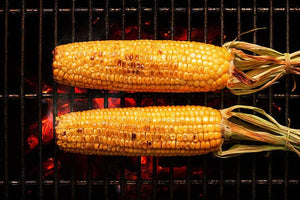 Parmesan Ranch Corn on the Cob Seasoning